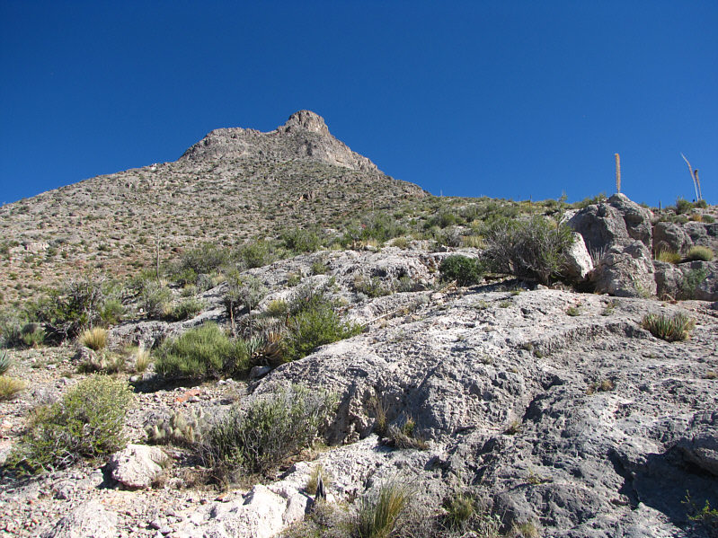 It looks as if you could scramble all the way to the summit from here, but the view is deceptive.