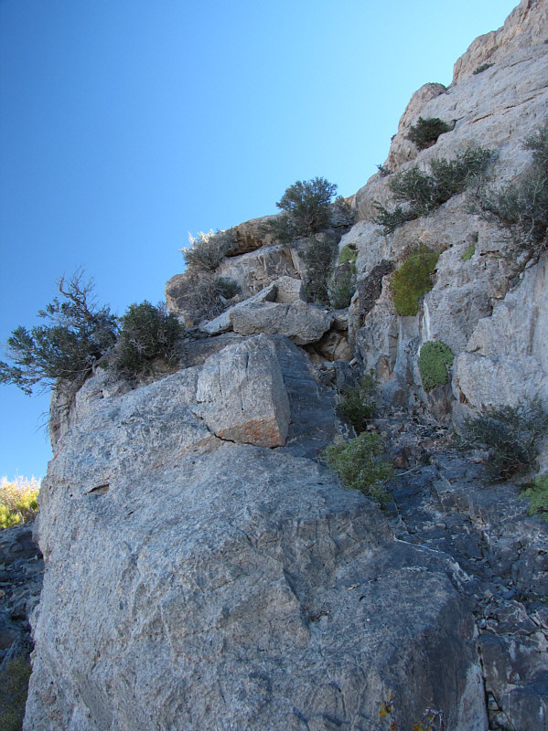 Good place to find some shrubbery. Ni!