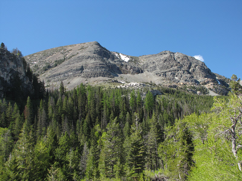 Looks innocuous enough...