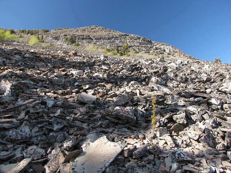 It's worse coming down this stuff than going up...