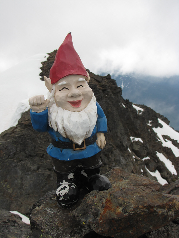 Expedia sucks balls!