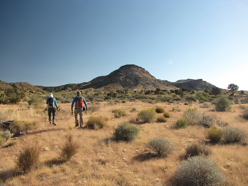 Already picking up prickles!