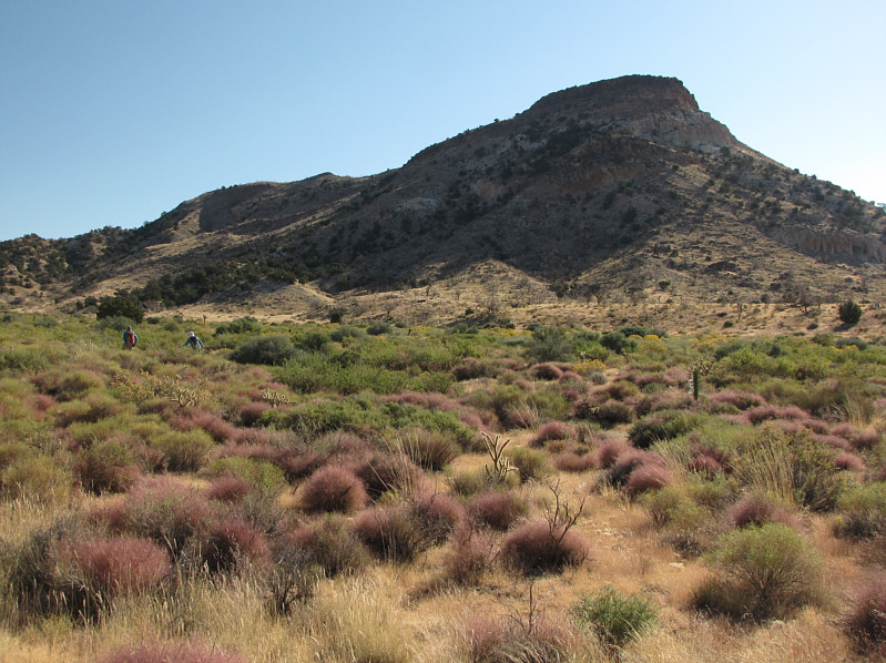 Contrary to appearances, the bushwhacking here is minimal.