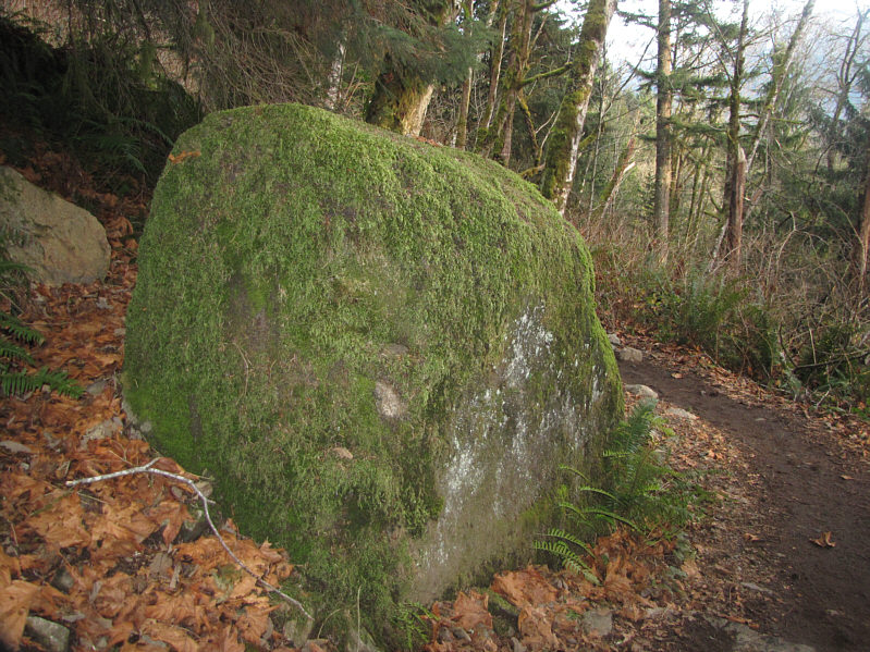 Just because there's nothing else to see on the way down!