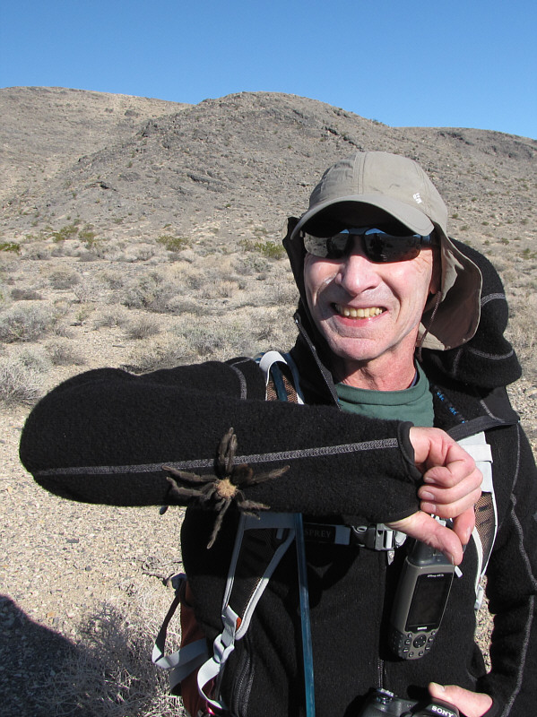 According to Wikipedia, all tarantulas are venomous, but historically, no human has ever died from a tarantula bite. Maybe Bob will make history...