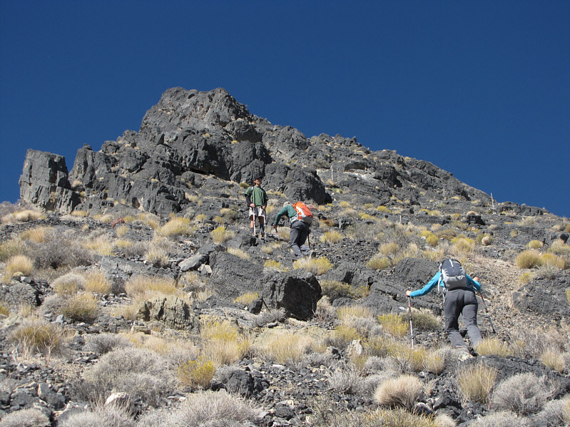 Whew! This is hard work!