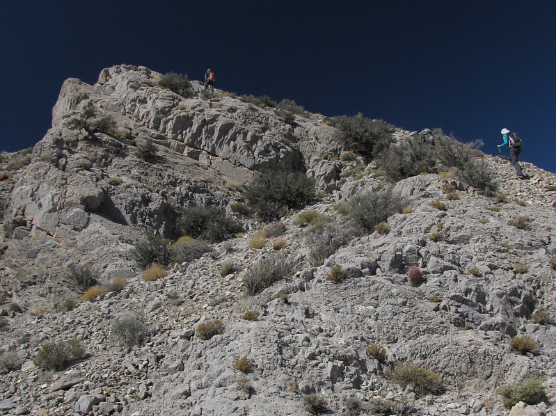 Just like corporate America...