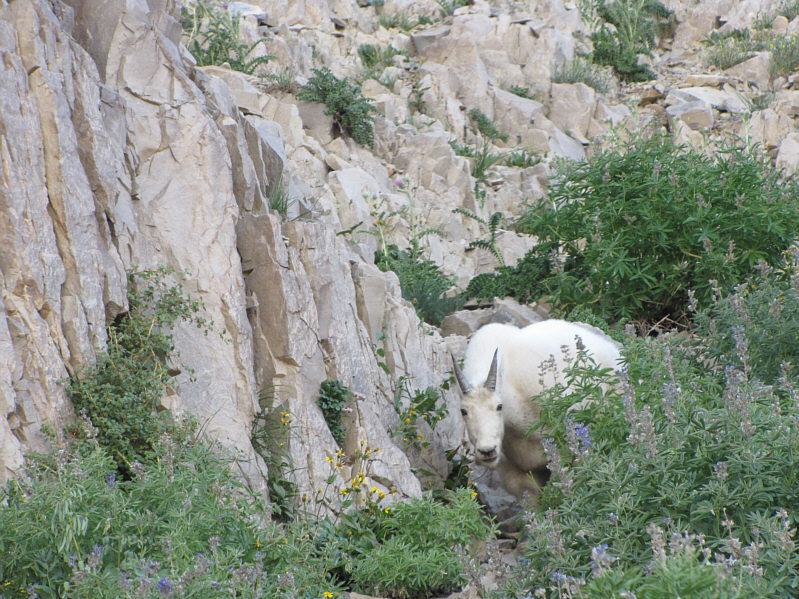 What you lookin' at??