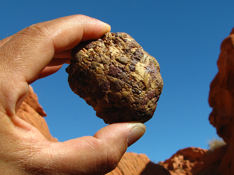 Or fruitcake or feces...