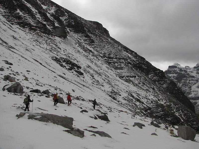 It's almost a conga line!