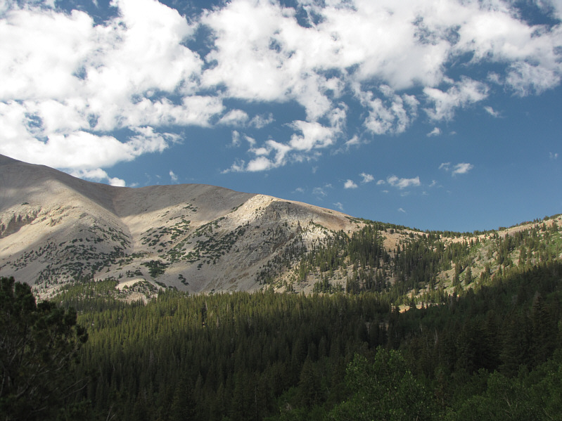 Would be ideal as a ski ascent in winter, I think.