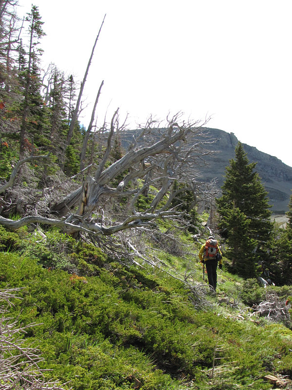 The worst is over...for now...