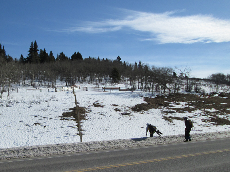 Despite appearances to the contrary, the snow is deep even by the side of the road!