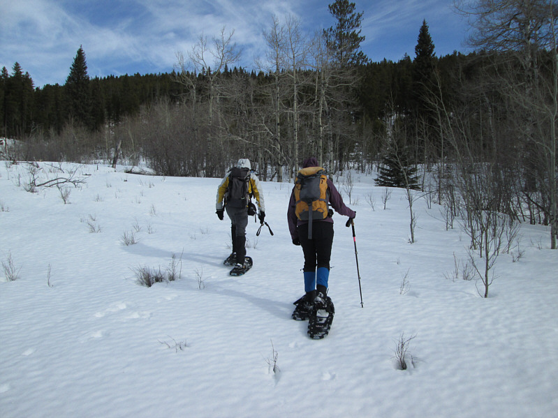 This should be a cakewalk, right?