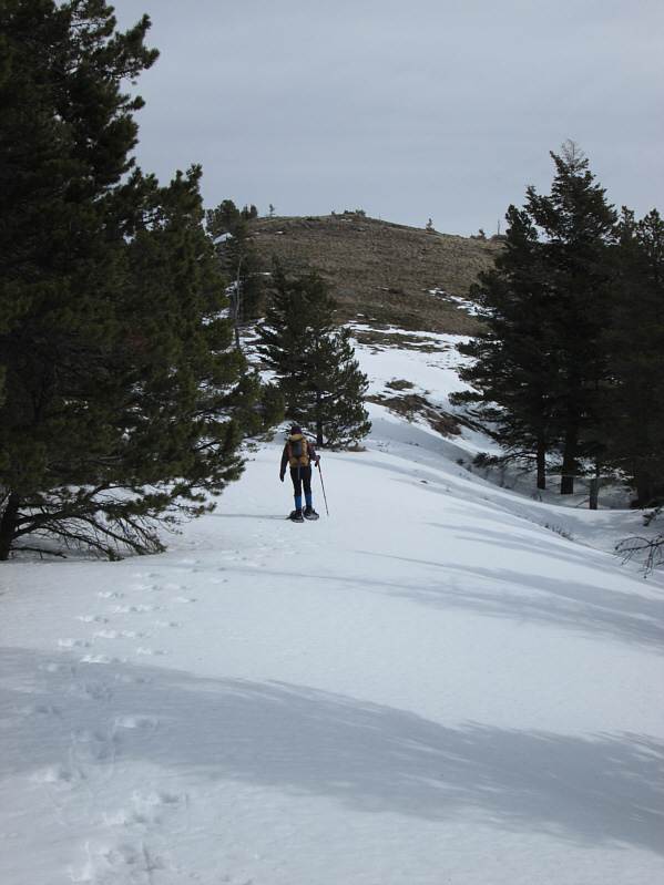 Time to ditch the snowshoes!