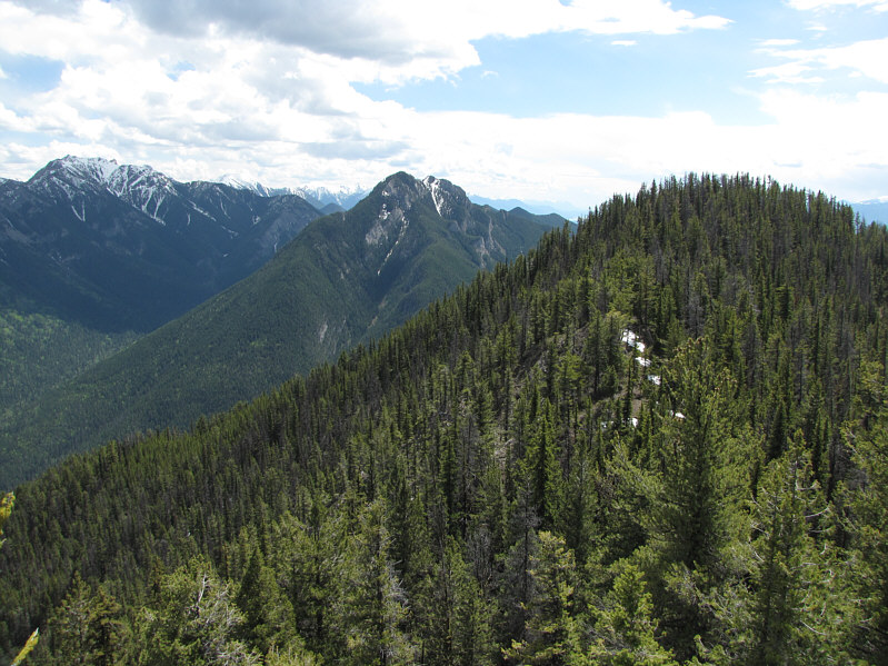 Redstreak was another peak that kicked my ass!