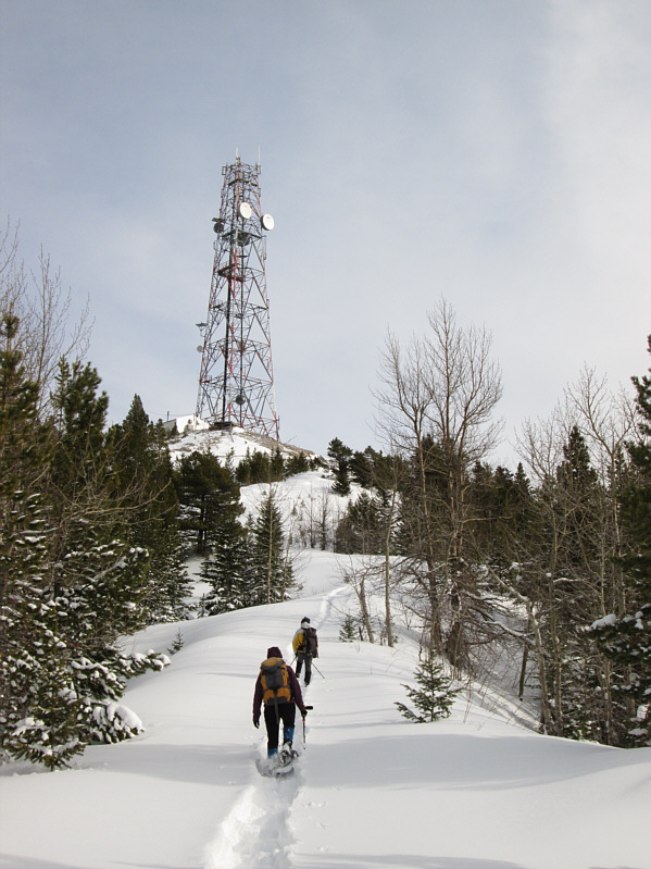 Not sure who or what broke trail along here.