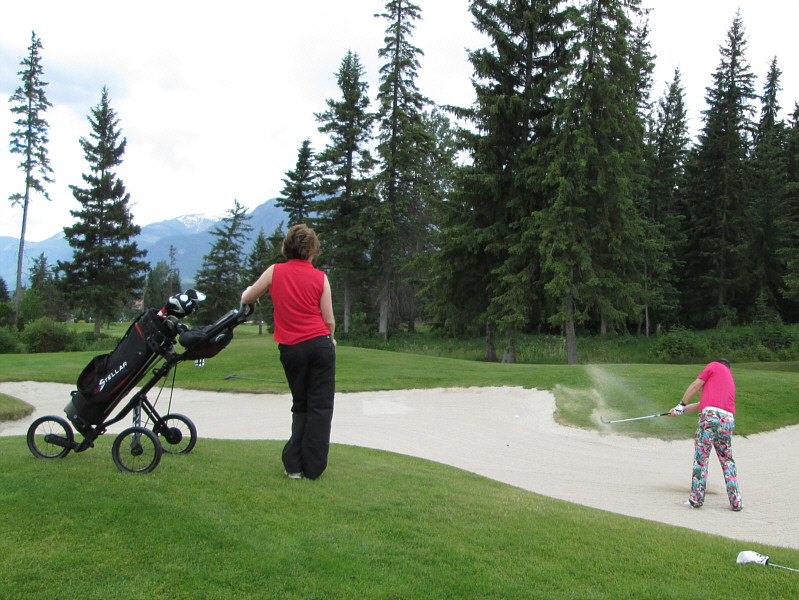 Okay Joanne, you can give up that Camel coin to Warner!