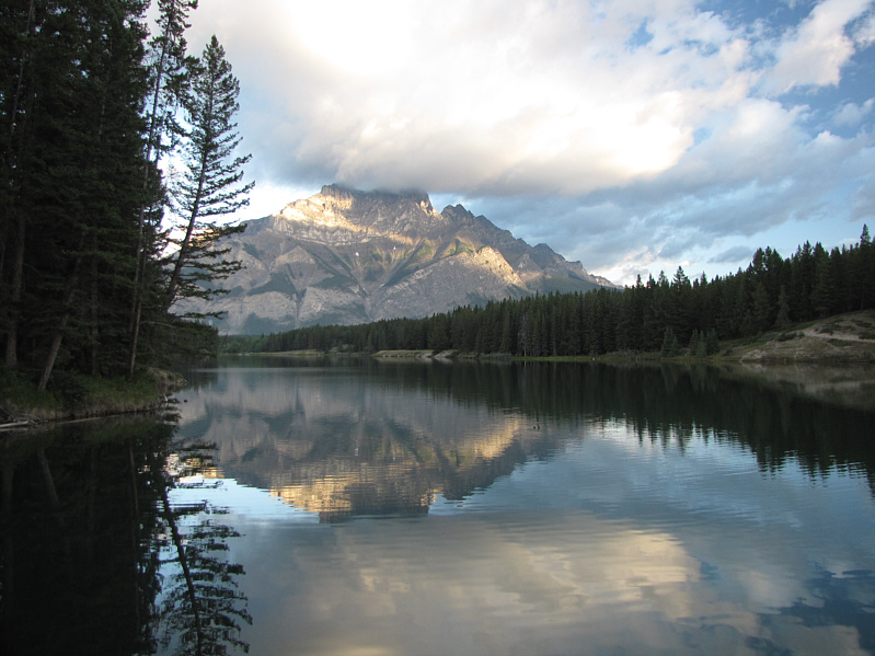 Turn around and head into the bush from here.