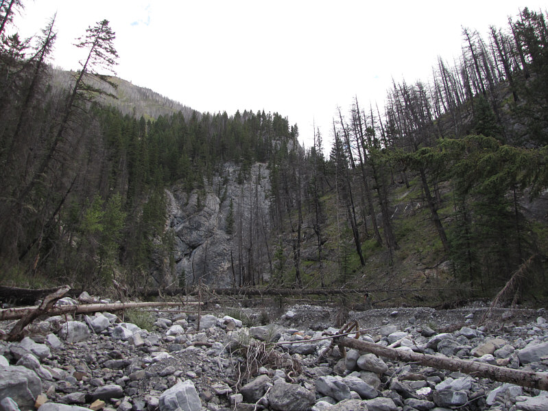The creek bed is tedious enough even without the deadfall!