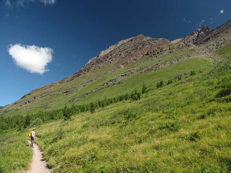 Leave the trail here or a little further on at the creek crossing.