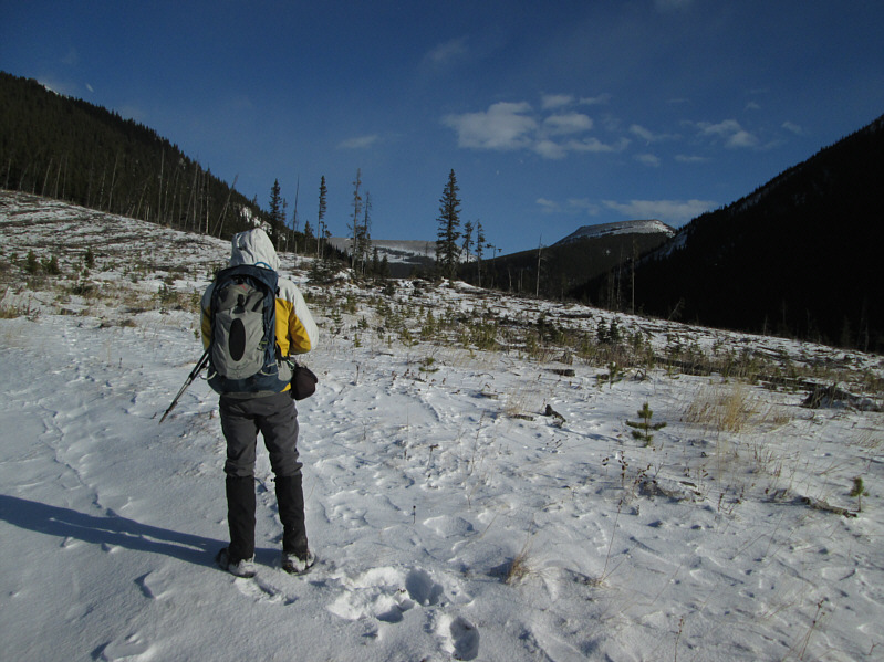 It's windy, but at least the sun is out!