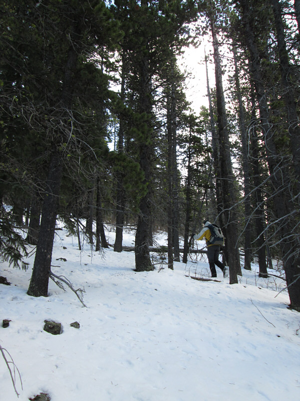 Told ya the bushwhacking was minimal!