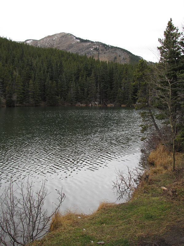 I've never seen a bear here.