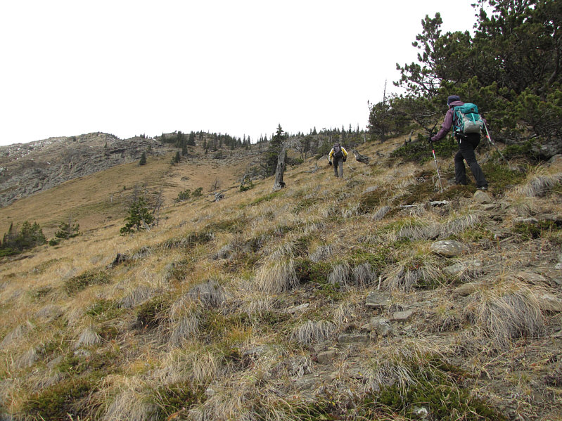 Moderately strenuous hiking here.