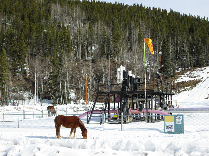 Careful if you drive around here after dark. They like to loiter on the roads.