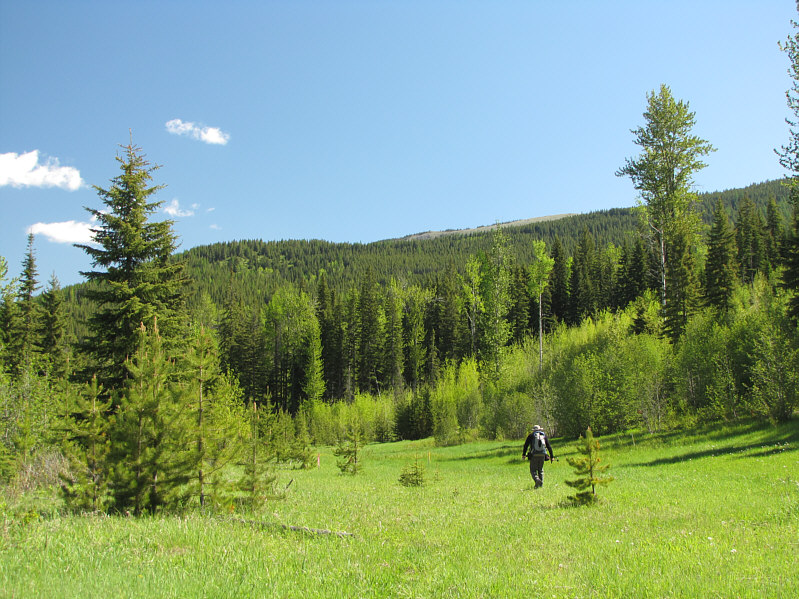 No access road here...turn around and go the other way!