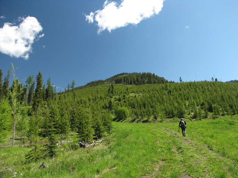 We will eventually leave this road and head up the ridge in the distance.