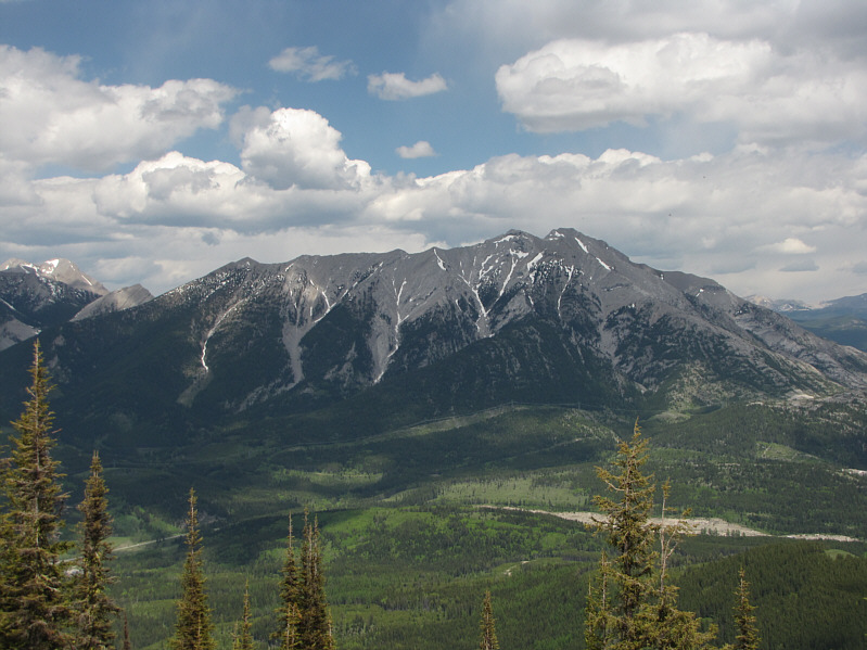 Looks like they're both in shape for scrambling.