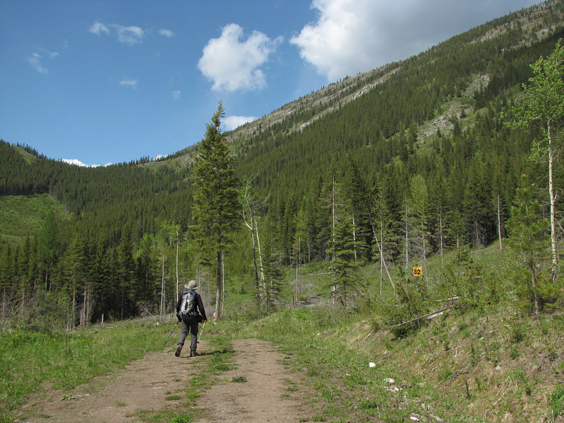 No more bushwhacking for the day. Yay!