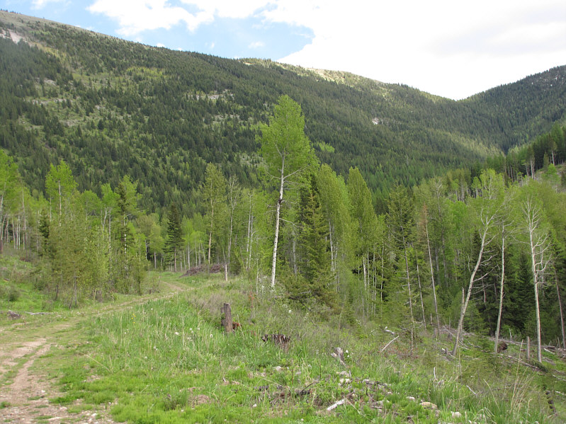 Bob and I may have been the first people ever to descend Loop Ridge this way!