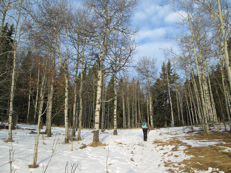 Do you know where you are going, Dinah?