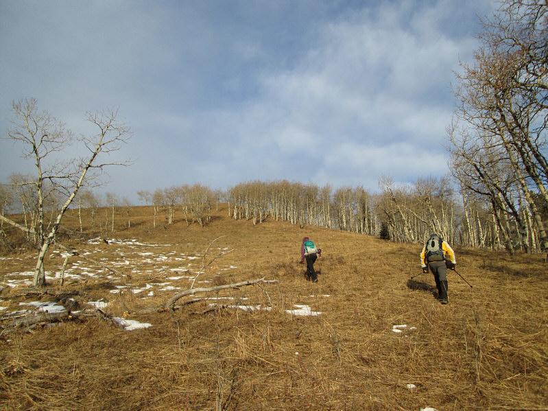 The sunlight and uphill climb warmed me up nicely after a chilly start.