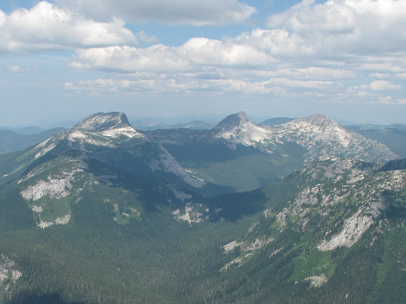 More animals that aren't normally found here! Guess they got tired of naming every other mountain Goat or Sheep!