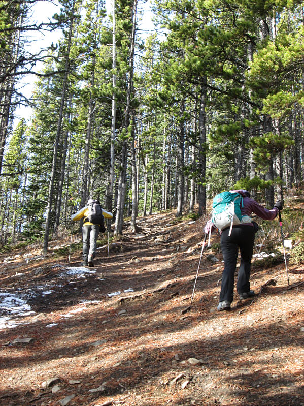 The trail is just as steep twenty years later!