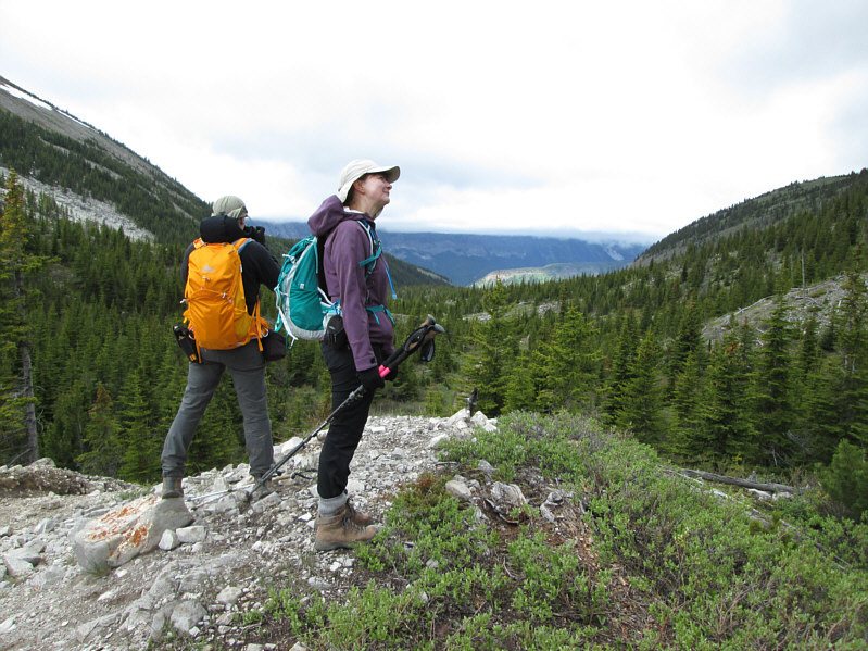 It's time to vote on what to do!