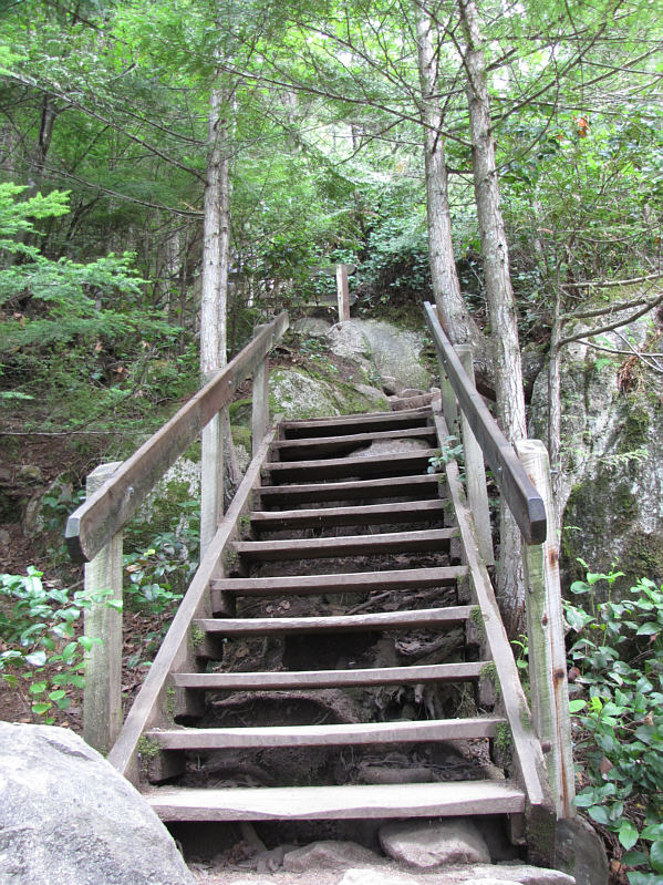 Some of the steps were seemingly made for people with really long legs...
