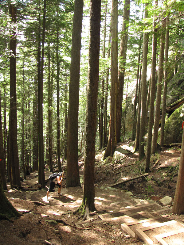 You should be sweating nicely by now...