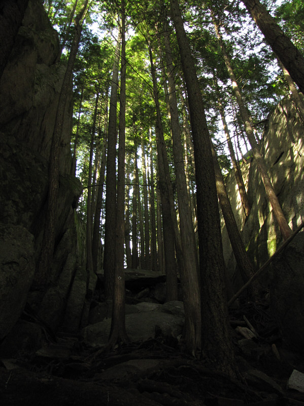Despite the hordes of people, there are still areas on the mountain that are relatively secluded.