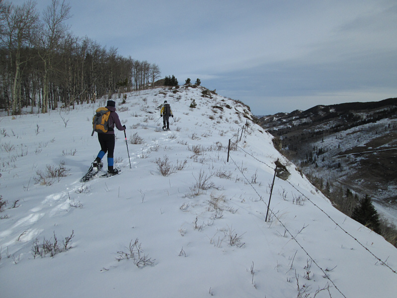 Hey, maybe we'll even get some views!