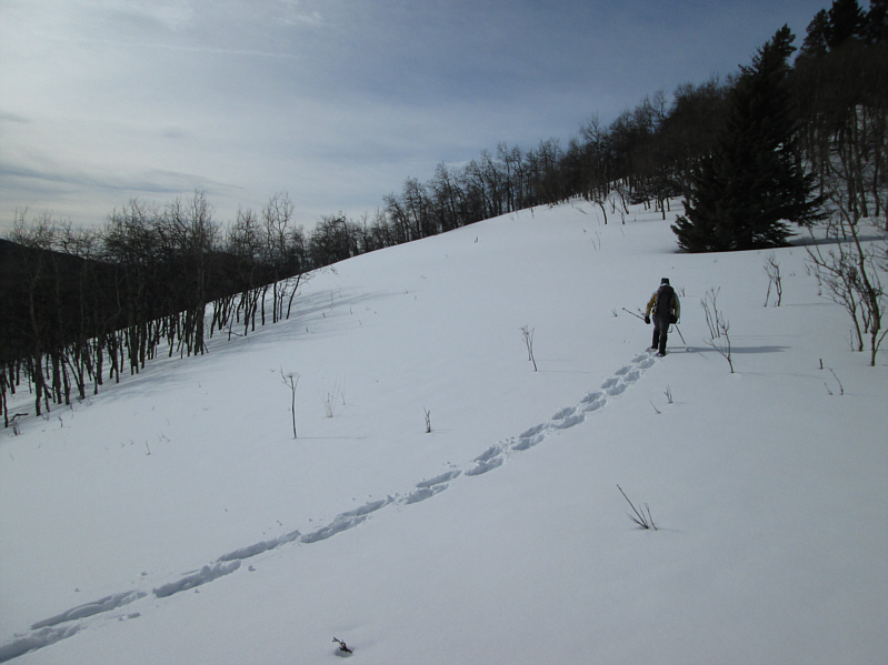 One of the tougher slogs on this day.