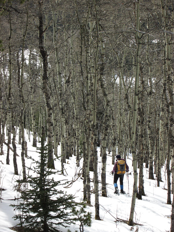 I kinda like this shot.