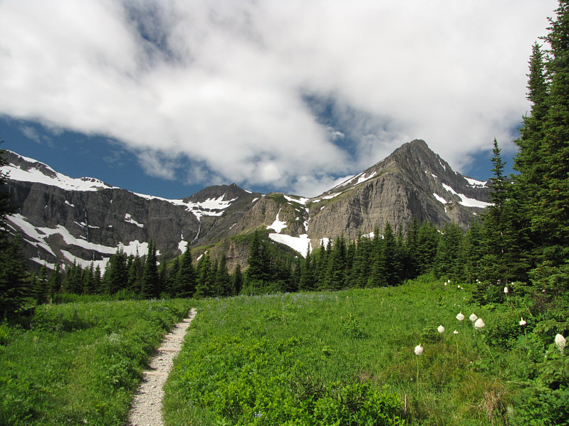 Bear grass on the right!
