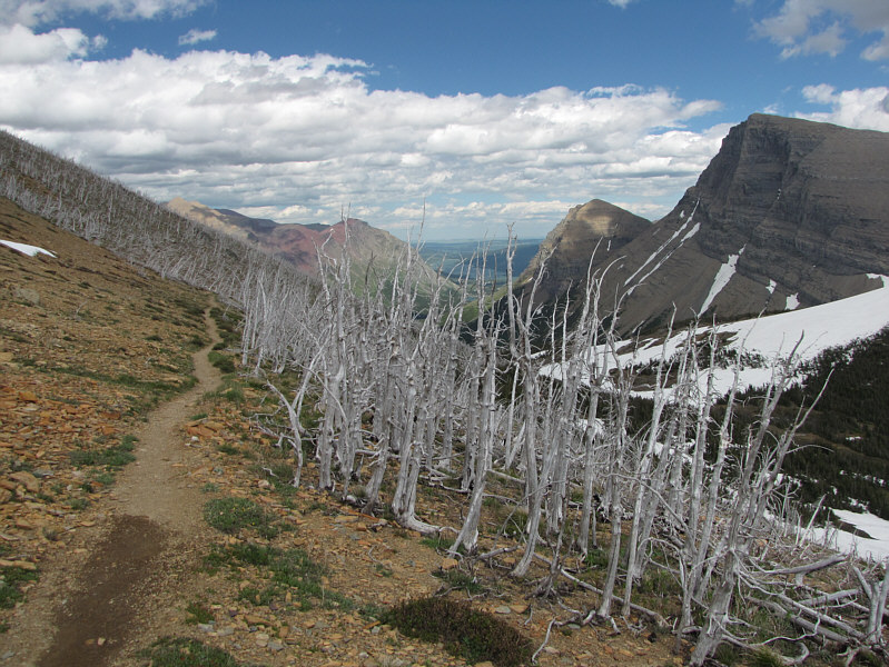 Not much privacy if you need to pee!