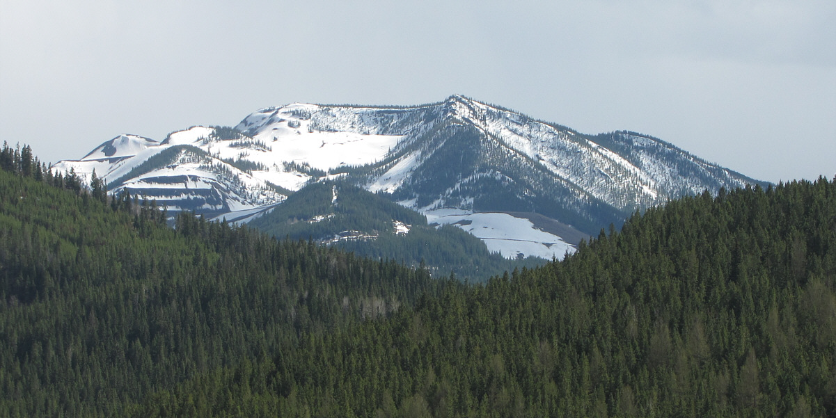 Still hard to believe that we made it up there without skis or snowshoes given the abundance of snow.