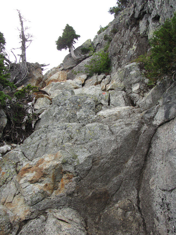 But boy is it ever a lot of fun!